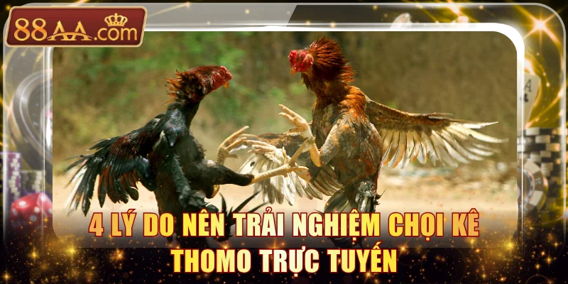 4 lý do nên trải nghiệm chọi kê Thomo trực tuyến
